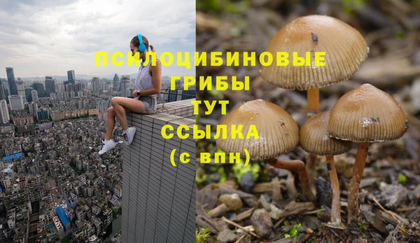кокс Богородск
