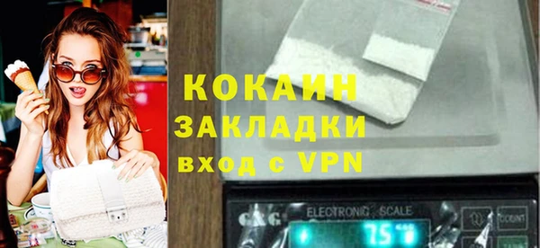 трава Бородино