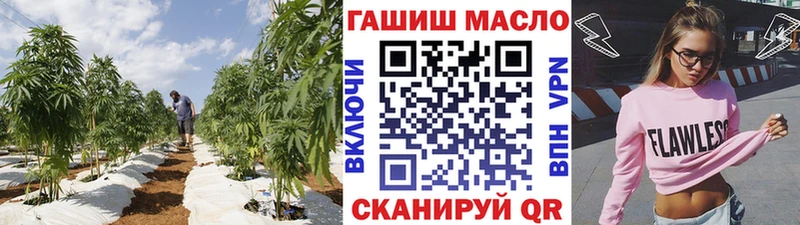 ТГК гашишное масло купить цена Гремячинск