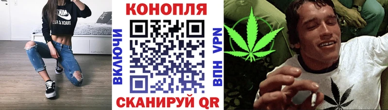 Шишки марихуана гибрид Гремячинск